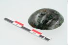 Foto von Bronzeniet (NHMW-PRAE-024411)